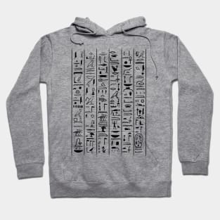 Hieroglyphic Letters Ancient Egypt Pharaohs Egyptology Gift Hoodie